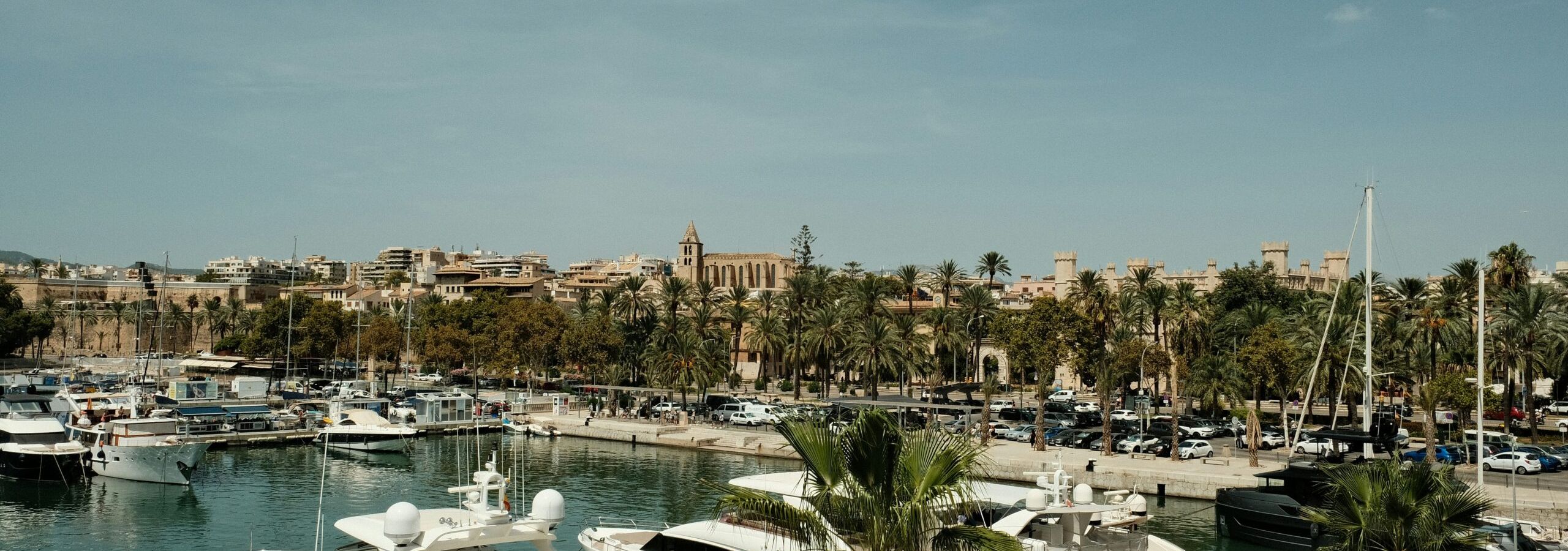 Marketing für Unternehmen auf Mallorca – branchenspezifisch und zielgenau