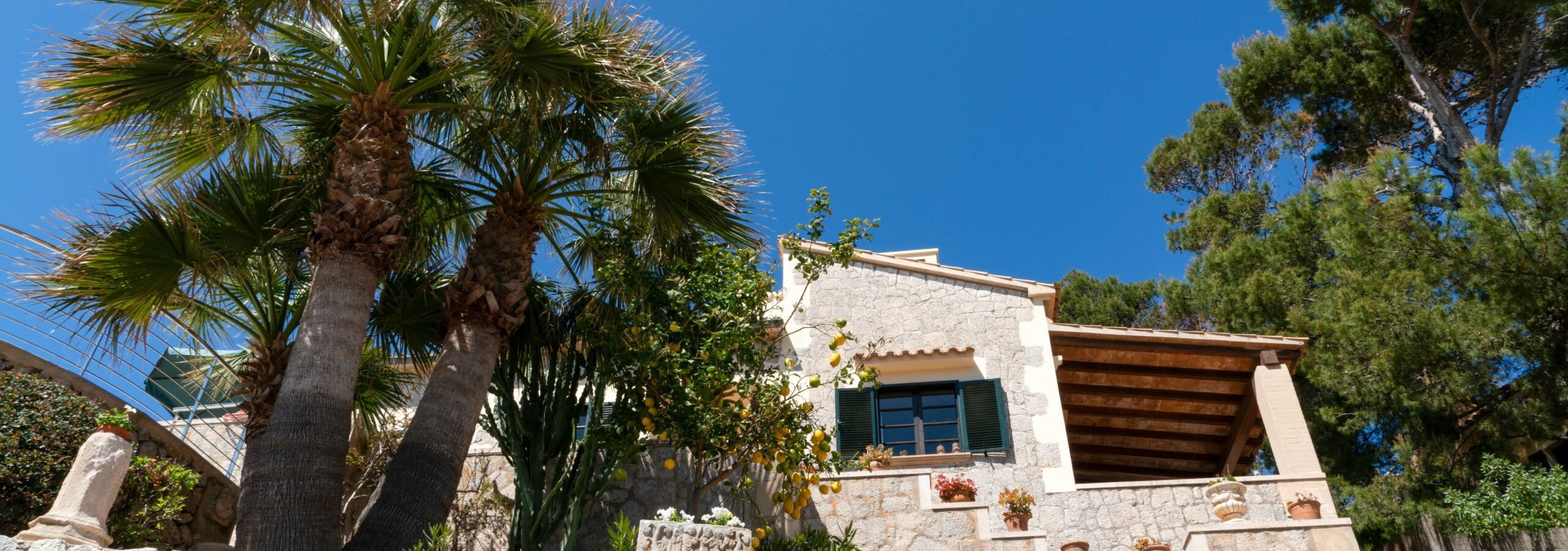 performance-marketing-mallorca-eller-design-werbeagentur
